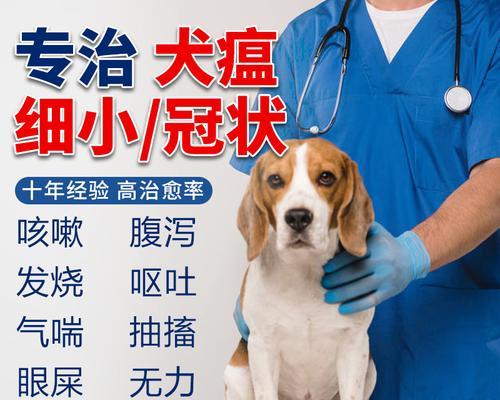 犬瘟热康复后狗狗会有哪些后遗症？