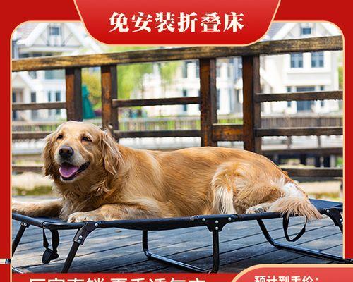 狗狗生完小狗后应该注意哪些事项？如何照顾新生幼犬？