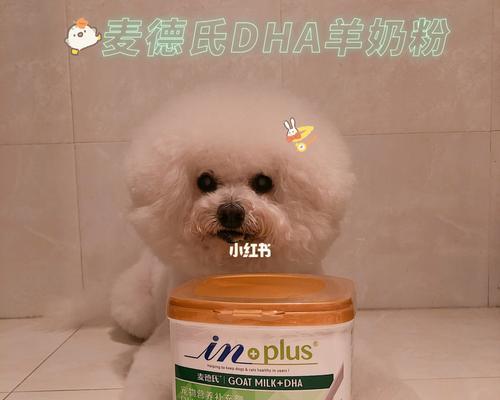 狗狗羊奶粉的正确饮用方法是什么？常见问题有哪些？