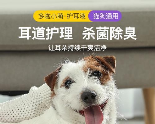 狗狗治耳螨用什么药好？有效治疗方案有哪些？