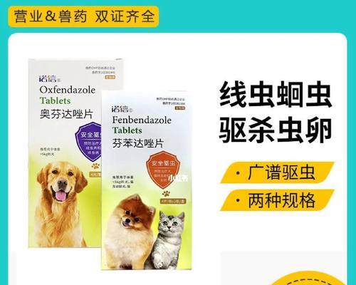 狗狗得了蛲虫应该用哪种驱虫药？有效治疗方案是什么？