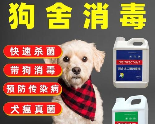 狗犬瘟身上疼怎么止疼？有效缓解方法有哪些？