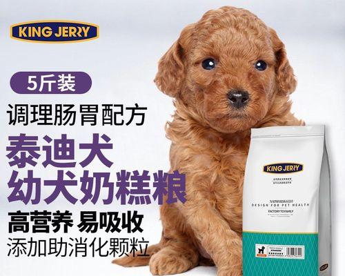 贵宾犬一个月龄如何正确泡狗粮？步骤和注意事项是什么？