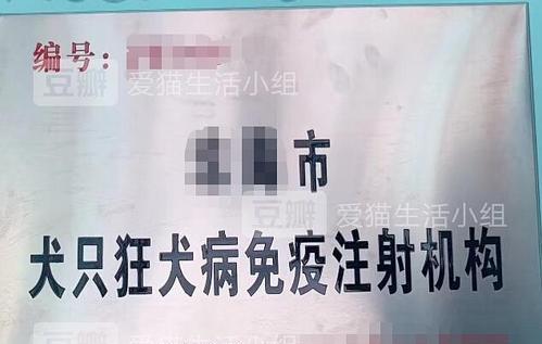 杭州犬疫苗多少钱一只？如何选择合适的疫苗品牌？