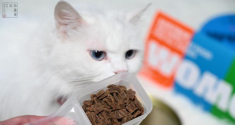 家里没猫粮给猫吃什么？紧急情况下有哪些替代食物？