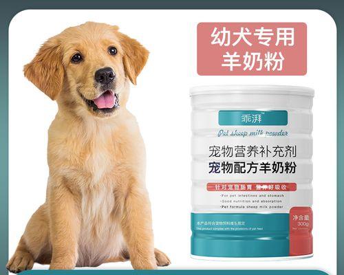 金毛犬眼睛发红是什么原因？如何处理？