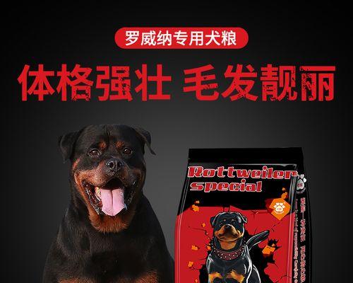 卡斯罗犬喂什么狗粮好？如何选择适合的狗粮品牌？