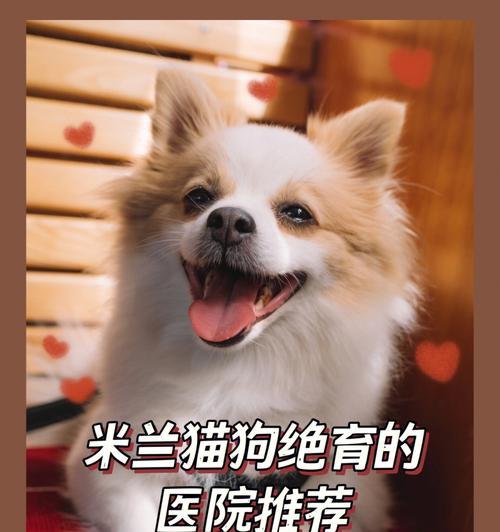 开个猫医院需要多少钱？如何规划预算和投资回报？