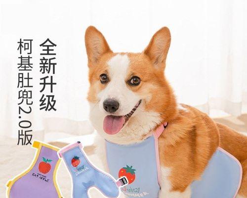 柯基犬可以和什么狗配？最佳配种选择是什么？