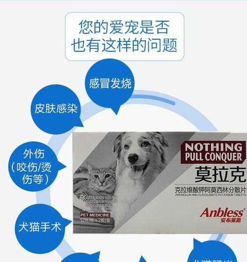 可以给猫吃什么消炎药？安全有效的选择是什么？