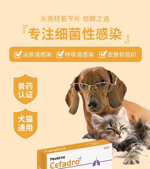 可以给猫吃什么消炎药？安全有效的选择是什么？