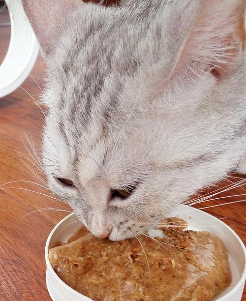 给小猫吃鸡胸肉安全吗？需要注意什么？