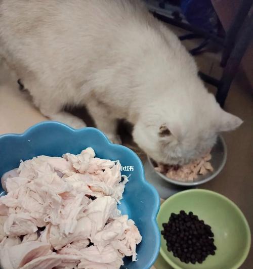 给小猫吃鸡胸肉安全吗？需要注意什么？