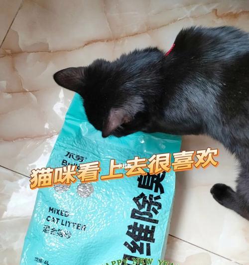 两周大的小猫能用猫砂吗？如何训练它们使用猫砂盆？