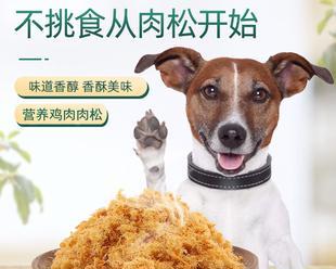 满月狗幼犬狗粮怎么吃？喂食指南与常见问题解答？