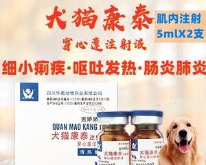 猫肠胃炎消炎吃什么药？如何选择合适的药物？