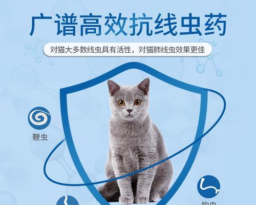 猫打的消炎针叫什么药？如何正确选择宠物消炎药物？