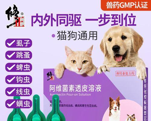 猫的跳蚤长什么样？如何识别和处理猫跳蚤问题？