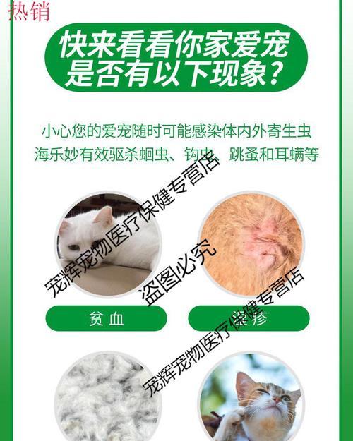 猫肚子里发现绦虫如何处理？预防和治疗措施是什么？