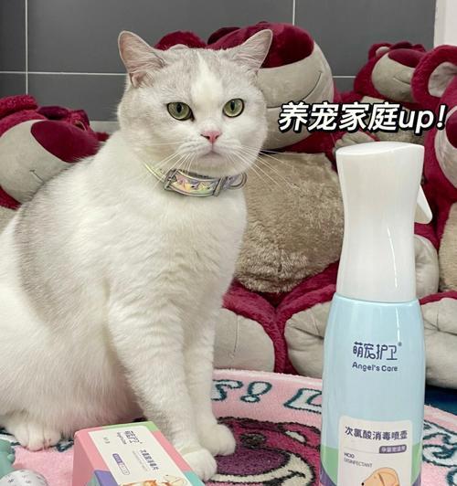 猫冠状病毒是由什么引起的？如何预防和控制？