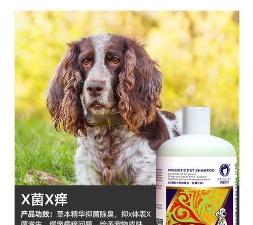 猫可以用狗狗益生菌吗？使用后会有哪些影响？