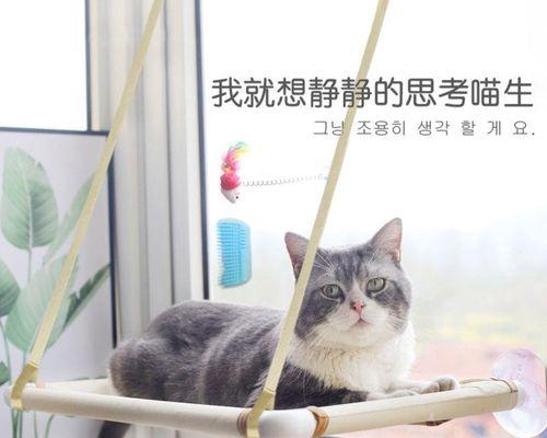 猫生完小猫一天后出血怎么办？需要立即就医吗？