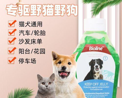 猫在床上小便的原因是什么？如何有效预防？