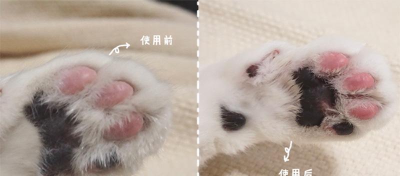 猫用爪子打东西叫什么？这是猫咪的什么行为表现？