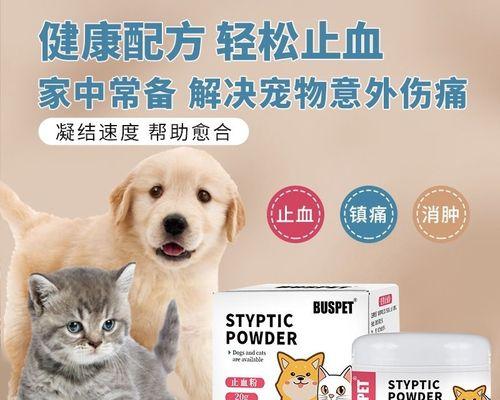 猫指甲劈到底了怎么办？如何安全处理和预防？