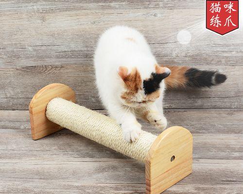 猫咪不喜欢爬架怎么办？如何激发它们的兴趣？