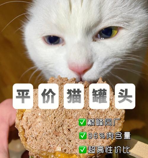 猫咪长期吃猫罐头好吗？对健康有什么影响？