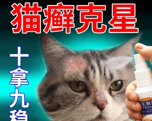 猫咪长藓的症状有哪些？如何及时发现和处理？