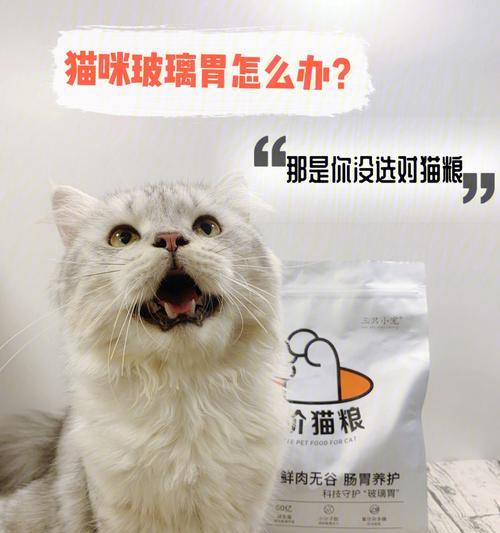 猫咪肠胃不适时应避免哪些猫粮成分？