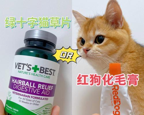 猫咪肠胃药的最佳服用时间是什么时候？