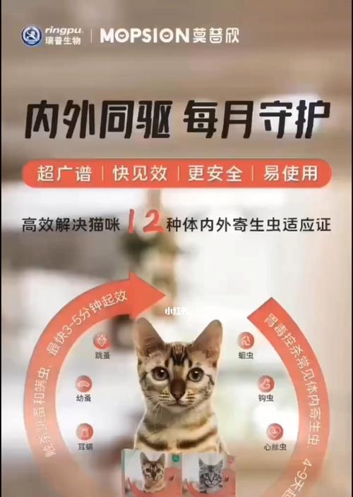 猫咪吃了驱虫药后一直叫怎么办？可能的原因和解决方法是什么？