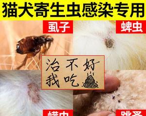 猫咪吃了驱虫药没拉出怎么办？常见原因及解决方法是什么？