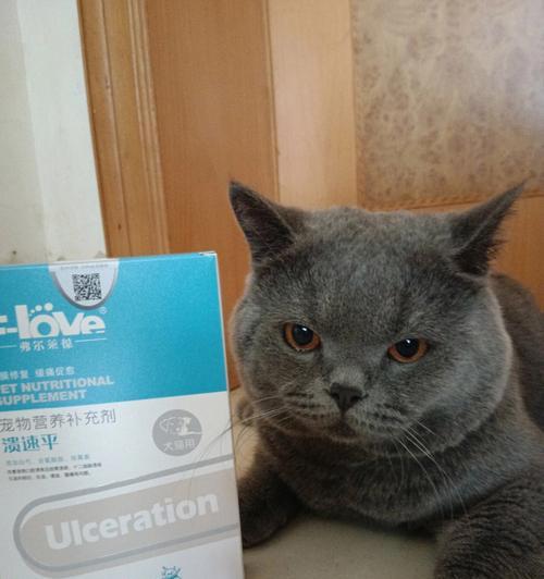 猫咪误食酒精后会呕吐吗？如何处理这种情况？