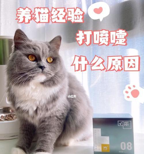 猫咪频繁打喷嚏是怎么回事？一天打45个喷嚏需要看兽医吗？