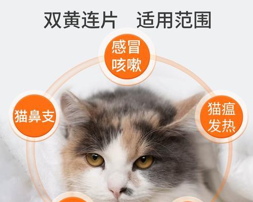 猫咪胆管阻塞怎么治疗？有哪些有效的治疗方法？