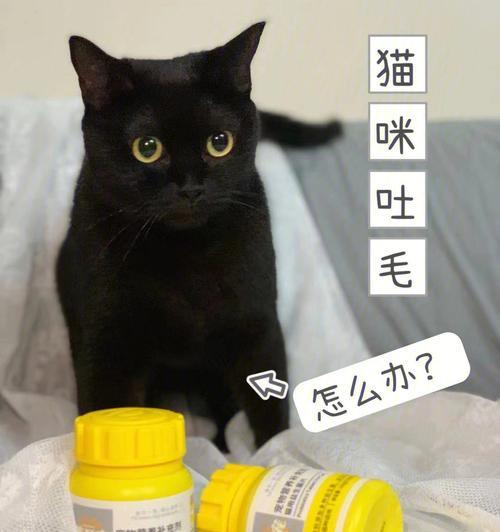 猫咪的毛被胶水粘住了怎么办？有效去除方法是什么？