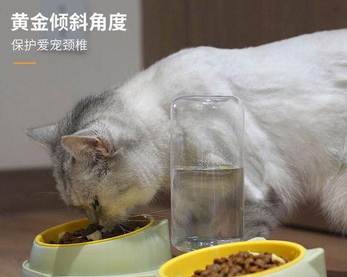 猫咪第一次生产怎么办？需要准备哪些东西？