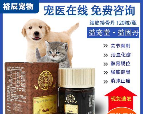 猫咪骨折了怎么办？自己在家能接骨吗？