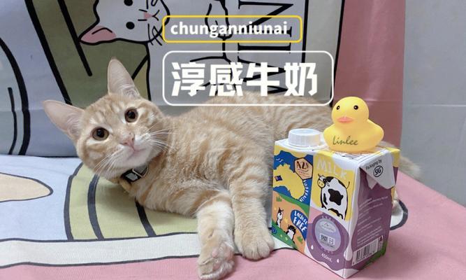 猫咪误食纯牛奶后怎么办？如何处理猫咪乳糖不耐症？