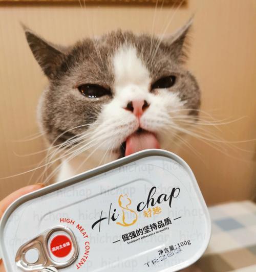 猫咪可以吃鸡肉拌饭吗？对猫咪健康有影响吗？