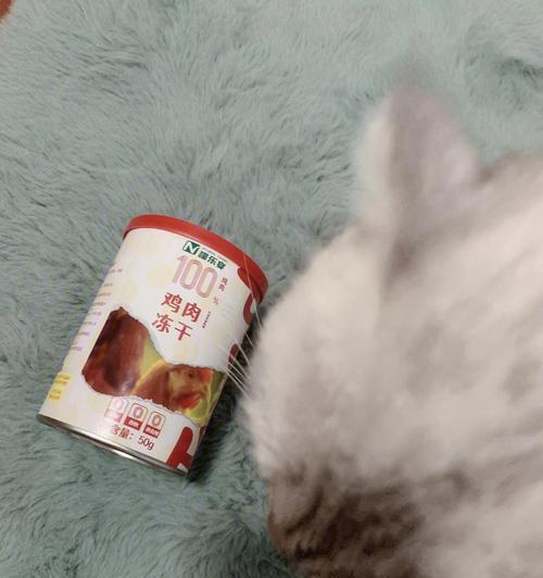 猫咪可以吃鸡肉拌饭吗？对猫咪健康有影响吗？