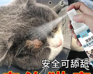 猫咪猫癣内服用什么药？如何正确选择和使用？