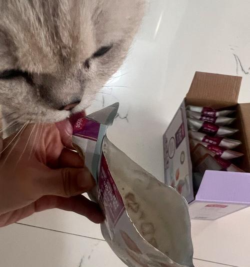 猫咪妙鲜包多久喂食一次合适？如何安排喂食计划？