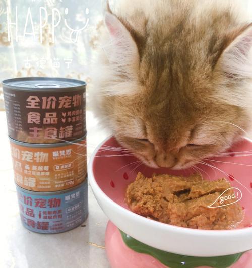 猫咪能吃蔬菜和淀粉吗？正确喂食蔬菜和淀粉的建议是什么？