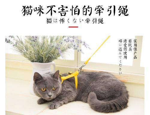 猫咪牵引绳哪种比较好？如何选择适合宠物的牵引绳？