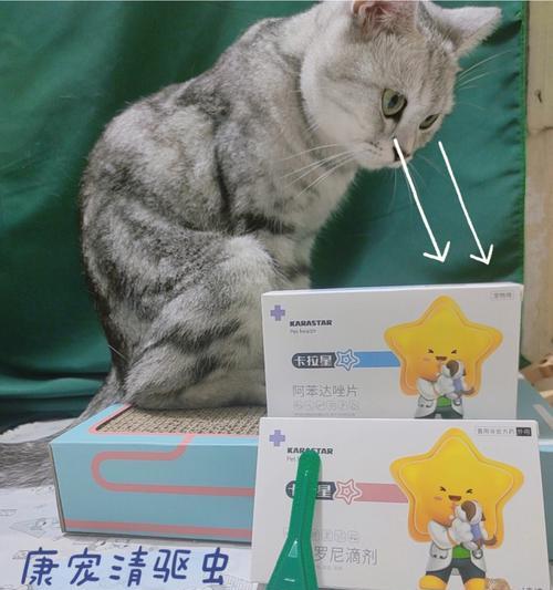 猫咪驱虫时间怎么安排？内驱和外驱的最佳时机是什么时候？